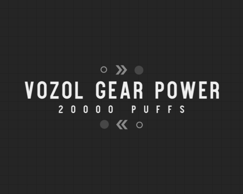 Vozol Gear Power 20000