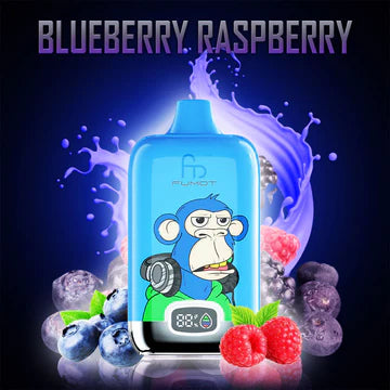 Fumot Digital Box Blueberry Raspberry (12000 Puff)